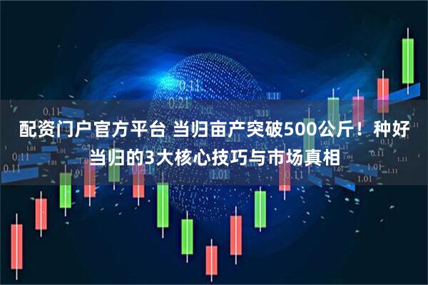 配资门户官方平台 当归亩产突破500公斤！种好当归的3大核心技巧与市场真相