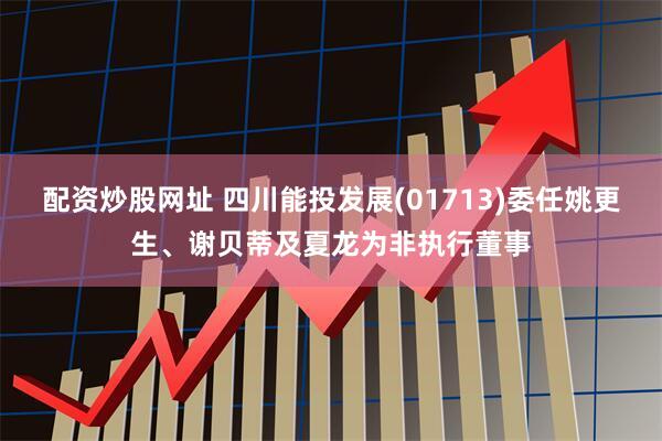 配资炒股网址 四川能投发展(01713)委任姚更生、谢贝蒂及夏龙为非执行董事